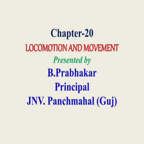 20.Locomotion and  Movement