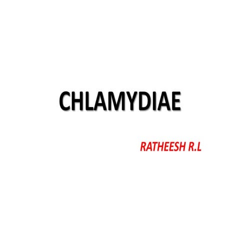 20. chlamydiae