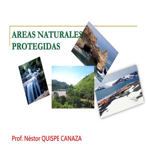 20. Áreas Naturales Protegidas del Perú..pptx