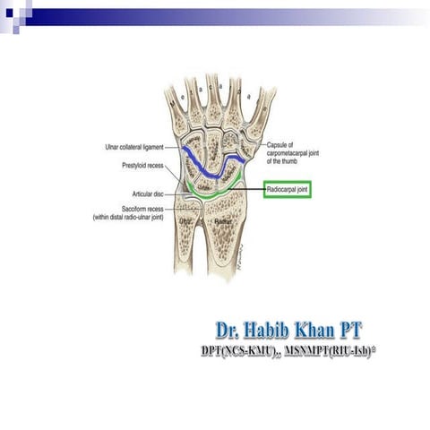 L6 WRIST AND JOINTS OF THE HAND .pptx anatomy | PPTX