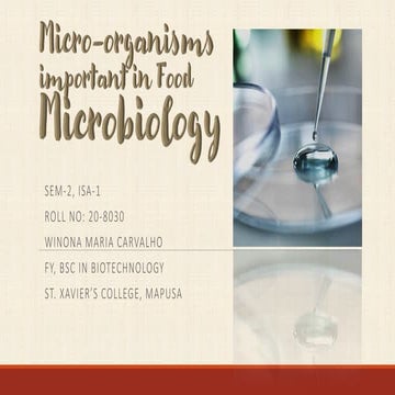 Micro-organisms important in Food Microbiology. Bacteria, Yeast, Molds