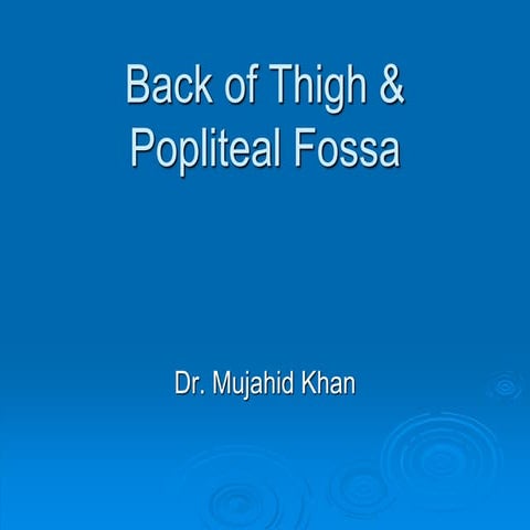  Popliteal Fossa.ppt