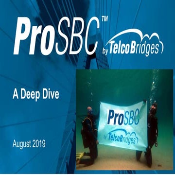 ProSBC a Deep Dive
