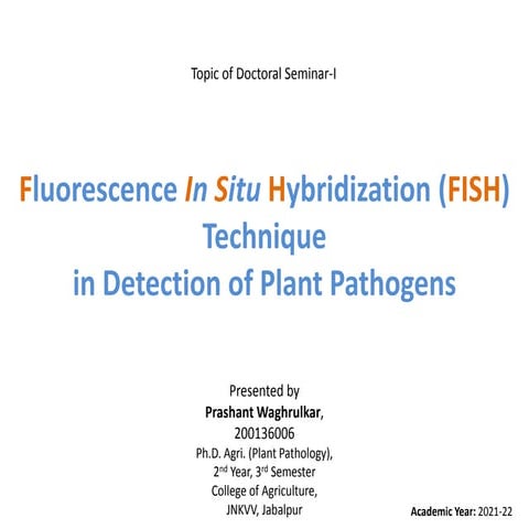 Fluorescence In Situ Hybridization (FISH) Technique in Detection of Plant Pat...