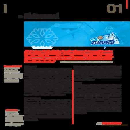 Skitunnel (2002) - German