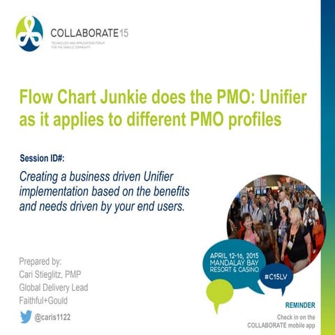 Flow Chart Junkie does the PMO: Unifier as it applies to different PMO profiles