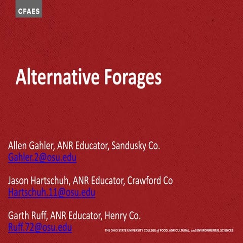 Garth Ruff - Alternative Forages 