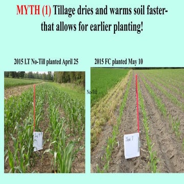 Jerry Grigar - Success With Long-term No-till | PDF