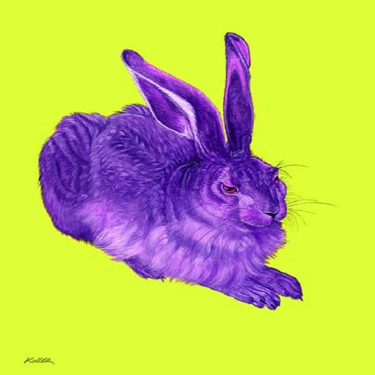 Paintings by Helmut Koller | PDF