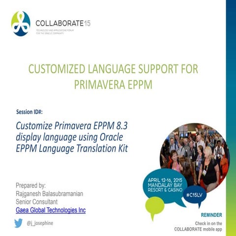 Customized Language Support for Primavera EPPM