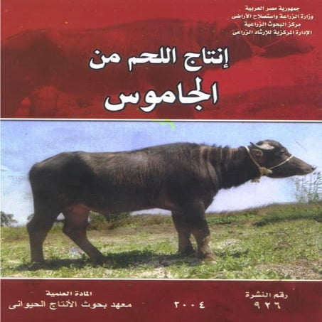 انتاج اللحم من الجاموس   2004 