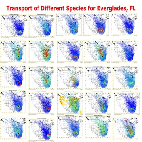 2004-12-22 Transport of Different Species for Everglades, FL