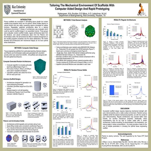 Poster: Tailoring the Mechanical Environment of Scaffolds with Computer Aided...