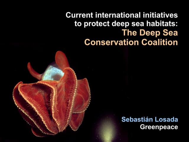 Initiatives to Protect the Deep Sea