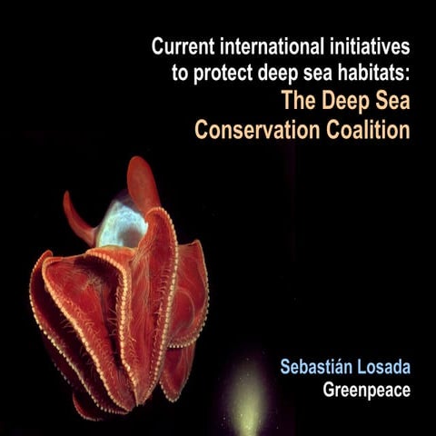 Initiatives to Protect the Deep Sea