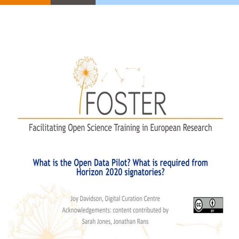 How to elaborate a data management plan