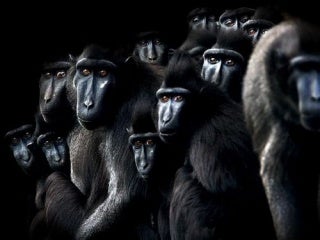 2006 En Iyi FotoğRaf Adayları(Gelenkutum.Com)