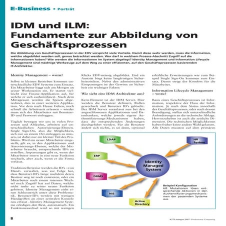 Artikel: Professional Computing: IDM und IL: Fundamente zur Abbildung von Ges...