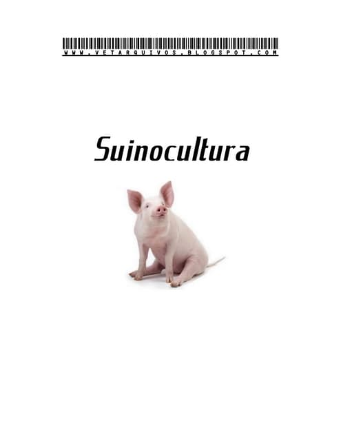20066667 suinocultura