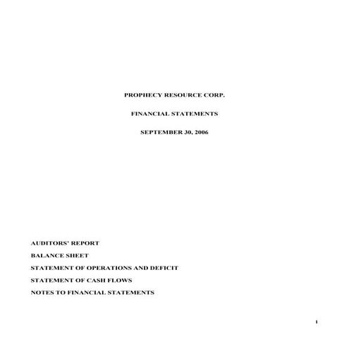 2006 annual audited financial statements