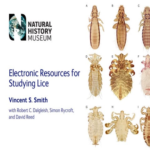 2006.Smith Electronic Resources