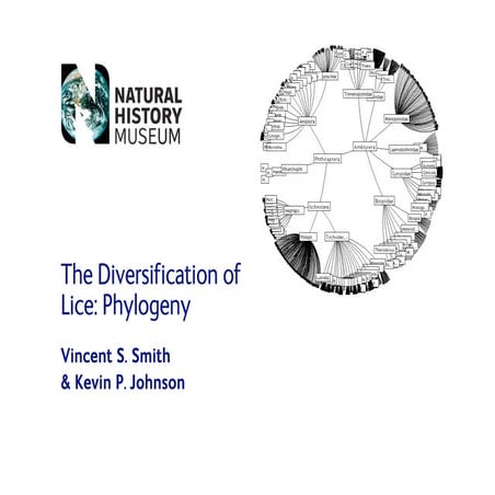 2006.Smith Phylogeny Of Lice