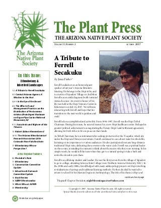 New Article Reveals The Low Down On Useful Content On Succulents For Sale Online And Why You Must Take Action Today