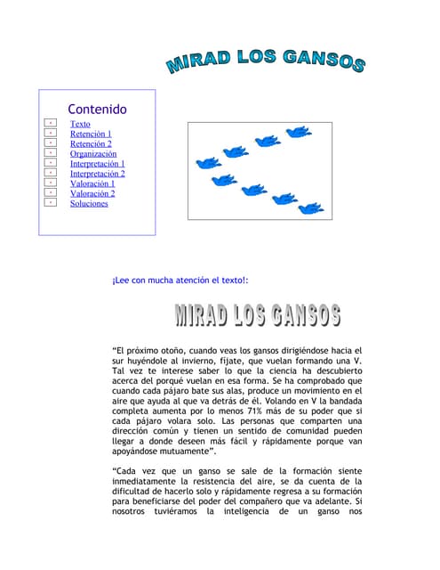mirad los gansos