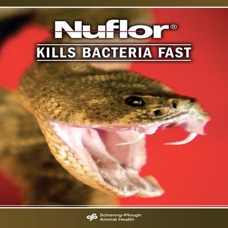 Nuflor MSD Finca Productiva Salud Del Hato