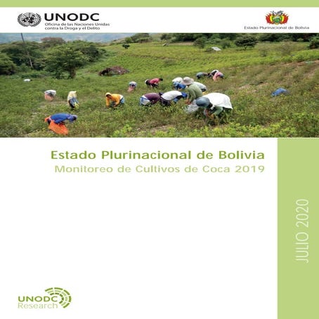 Monitoreo de cultivos de coca 2019 de la UNODC en Bolivia.
