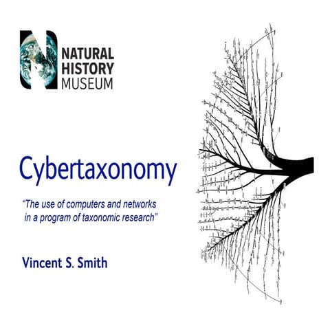 2007.Cybertaxonomy