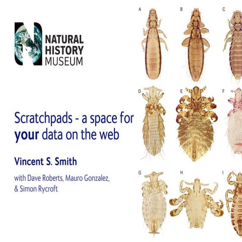 2007.Smith Scratchpads Zoo