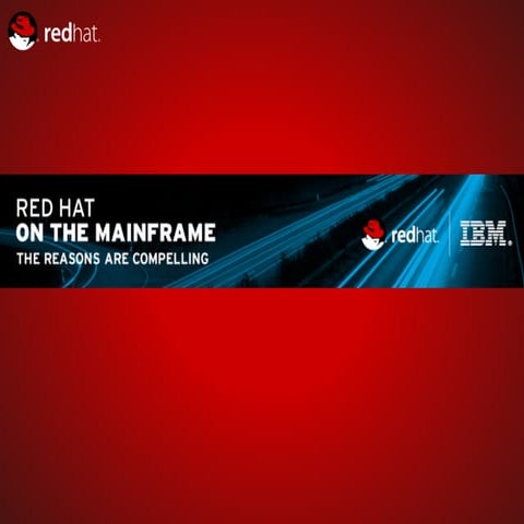 2008-12-2 System z Partners Field Call