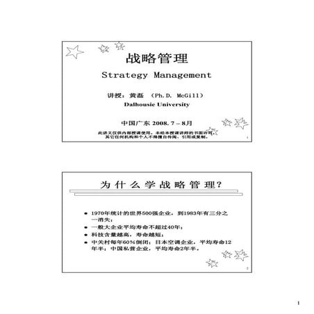 战略管理 2008