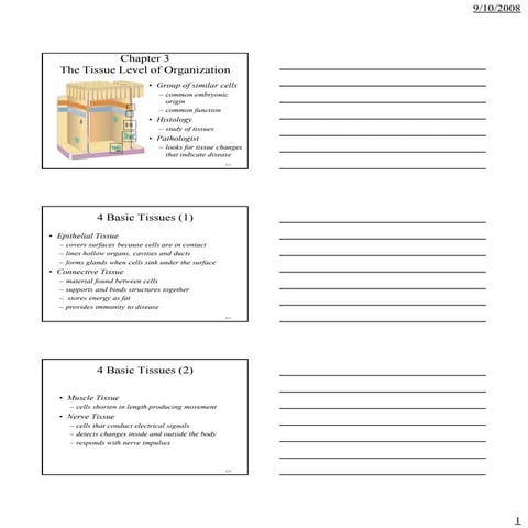 2008 tissue organization