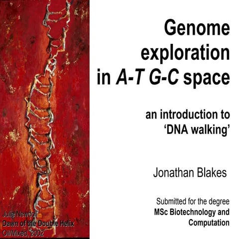 20080110 Genome exploration in A-T G-C space: an introduction to DNA walking