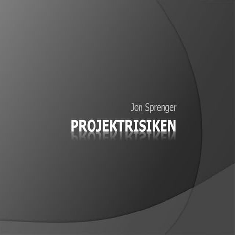 Projektrisiken