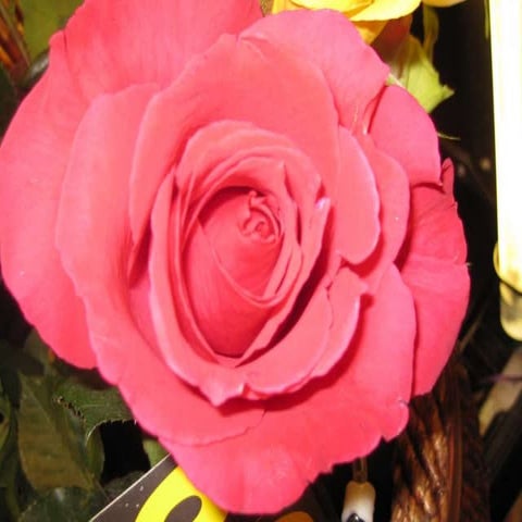 20081121-positive-thinking-sdfdsfds38s-ati-1227445729031902-9.ppt