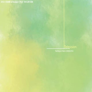 20082454 taekkyun nam television