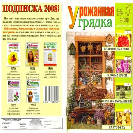 урожайная грядка 2008 №5