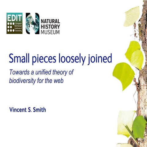 Small pieces loosely joined: towards a unified theory of biodiversity for the...