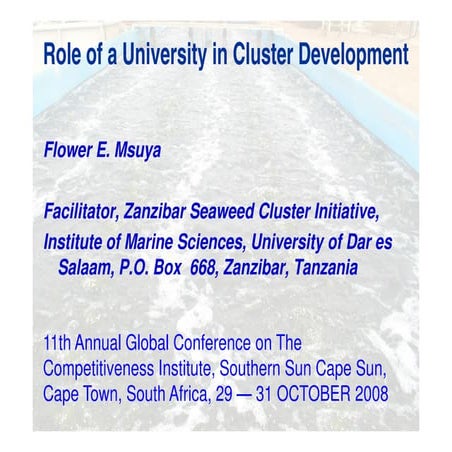 Cluster basics: the Role of University in Cluster Development | PDF