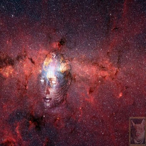 2008 earth intelligence network at hope