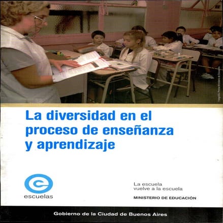 2008_La diversidad en el proceso de enseñanza y aprendizaje.pdf