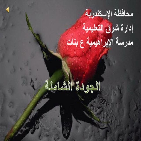 مصطلحات عن جودة التعليم2009