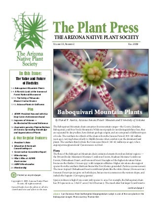 Why Everyone Is Dead Wrong About Additional Info On Succulents For Sale And Why You Must Read This Report