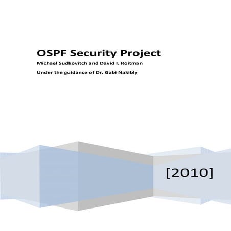 2009 2-ospf-report