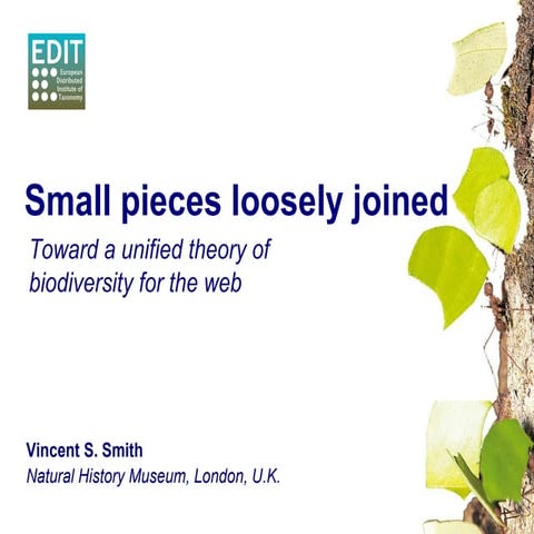 Small pieces loosely joined: towards a unified theory of biodiversity for the...