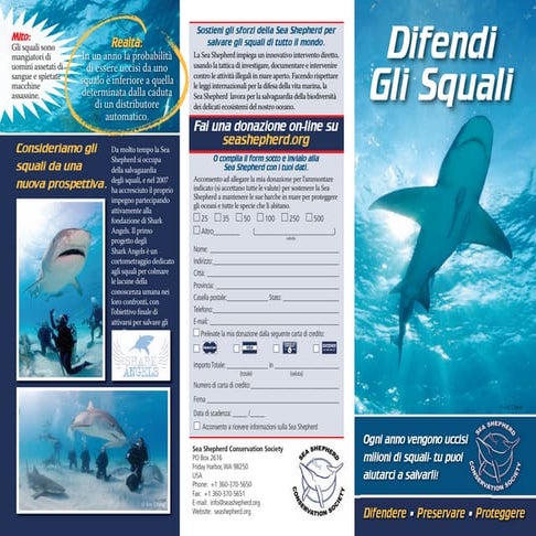 2009 sea-shepherd-shark-brochure-italian-sm