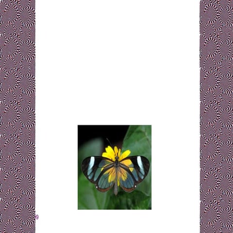 20090504   A   Interpersonal Relations